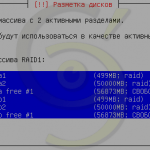 Разметка диска raid1 Debian #27