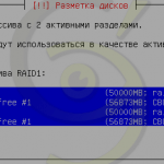 Разметка диска raid1 Debian #32