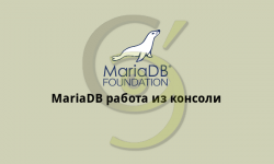 MariaDB работа из консоли